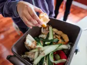 Everyone with food bin urged to follow new rule or face £60 fine