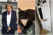 Ex-Lawyer, 79, Sues Met Police and RSPCA Over Cat Seizure in Axe Raid