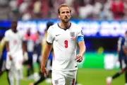 Fact Check: Dogs in Hot Cars and Fake Harry Kane Quote Debunked