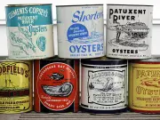 Family Finds 19 Pearls in 50-Year-Old Canned Oysters After Decades-Long Wait