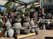 Family-Run Welsh Garden Centre Crowned UK's Best for 2026