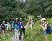 Family Walking Holiday in Exmoor: Steam Trains, Tree Climbing, Ice-Cream