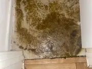 Family's sewage nightmare as faeces swamps Glasgow home