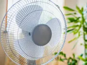 Fans Blow Colder Air If You Use This 1 Kitchen Item on Them