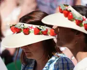 Farage resigns, Wimbledon, World Cup: English summer sport letters