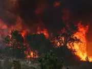 FCDO Issues Portugal Wildfires Warning to Brits Ahead of Summer Holidays