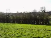 Felling Magpies FC Granted Permission for 65-Space Car Park Expansion