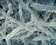 Fifth Person Dies in NYC Legionnaires' Outbreak on Upper East Side