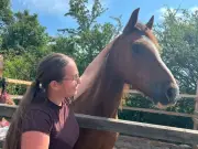 Fight to save abused horse Whispa as teen owner battles to save her