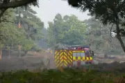 Firefighters Gain Control of Wildfire Near Sizewell