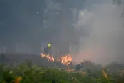 Firefighters make good progress on Suffolk wildfire near Sizewell