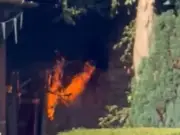 Firefighters tackle shed blaze between two houses in Crumpsall
