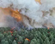 Firefighting Planes Scrambled to Tackle Huge Wildfire Near Paris