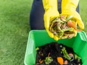 Five Banned Garden Waste Items That Could Cost You £5,000 Fine