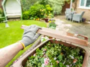 Five Common Items You Should Never Put in Garden Waste Bin or Risk Fine