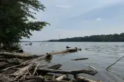 Five die in Ohio river after rescue attempt goes wrong