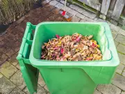 Five Garden Waste Bin Items That Could Cost You £5,000 in Fines