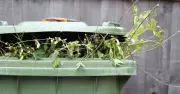 Five Items Never to Put in Garden Waste Bins or Risk £5,000 Fines