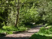 Fletcher Moss Park: Shaded Walk, Gardens, and Ice Cream in South Manchester Heatwave