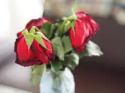 Florist's Quick Hot Water Trick Revives Wilting Roses
