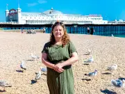 Flying Ant Season in Brighton: Drunk Seagulls and Local Chaos