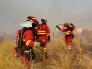 Foreign Office Urgent Update After Four Britons Dead in Spain Wildfire