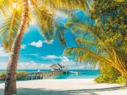 Foreign Office warns of methanol poisoning signs after tourist deaths