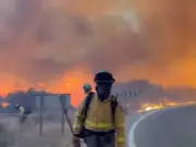 Four Britons among 11 Dead in Spain Wildfire, Bodies Found in Burnt Car