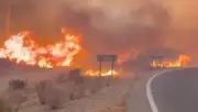 Four Britons Among 11 Tourists Killed in Spain Wildfire