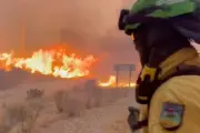 Four Britons feared dead in Spanish wildfire, bodies found in car