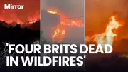Four Brits Feared Dead in Spain Wildfire as 12 Killed in Los Gallardos