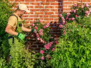 Four Gardening Jobs You Can Still Do During UK Hosepipe Ban