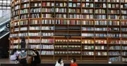 Four Must-Read Books Recommended by an Avid Reader