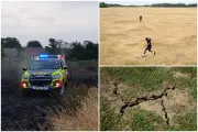 Fourth heatwave of year expected in London as wildfires and drought hit