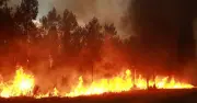 France wildfire: Gironde region battles unprecedented blaze near Bordeaux