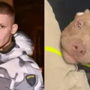 Freddy Brazier pleads for return of dog after arm mauled with 3cm hole