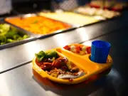 Free school meal families urged to check for summer help by MSE