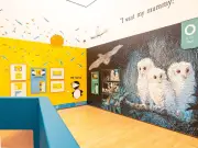 Free Wild Things exhibition celebrates classic children's books near Liverpool