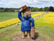Free willow sculpture trail marks Snugburys' 40 years in Cheshire
