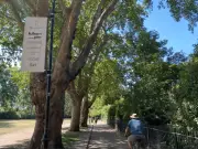 Fulham FC ads near Bishops Park to stay despite hundreds of objections