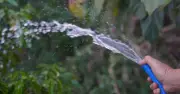 Full List of Hosepipe Ban Loopholes Coming Into Force July 10
