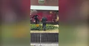 Fury as teenagers filmed trashing flower bed in Sutton Coldfield