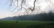 Fury in UK Traveller Hotspot as Council Spends £3,700 Removing Camp