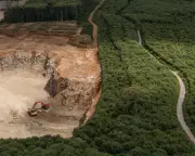 Fury over Reform plan to expand quarry in ancient Kent woodland