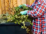 Garden Items No Longer Recyclable Under New Simpler Recycling Rules