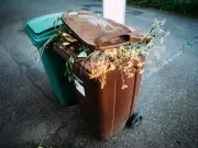 Garden Waste Items Banned Under New Simpler Recycling Rules in UK