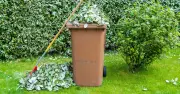 Garden Waste Items No Longer Recyclable Under New UK Rules