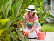 Gardener Carol Klein's Simple Morning Task to Shield Plants from UK Heatwave