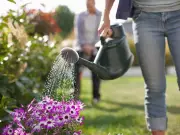Gardener's cheap DIY trick to water plants while on holiday