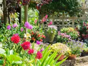 Gardener's Simple Tip to Double Your Plants for Free This Summer
